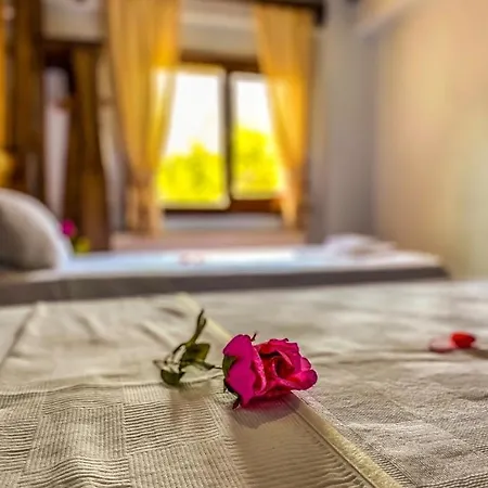 Yel Degirmeni Villa Sapanca